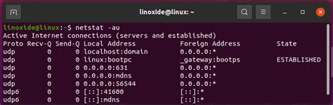 El comando netstat en Linux 9 ejemplos útiles conpilar es