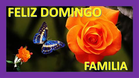 Feliz Domingo Familia Youtube