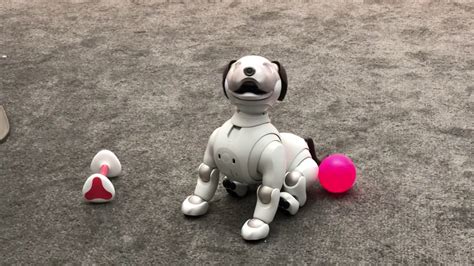 Sonys Robot Dog Aibo Learns New Tricks Ces 2018 Youtube