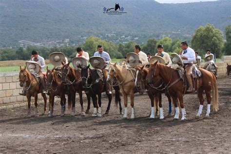 Cabalgatas Ya Son Patrimonio Cultural E Inmaterial De Hidalgo