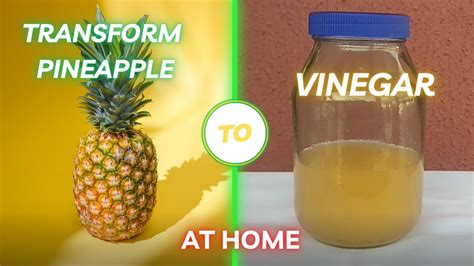 How To Make Vinegar At Home From Pineapple Fruit Youtube