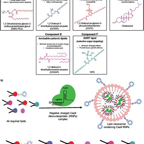 A Strategic Architectural Requirement For The Design Of Lipid