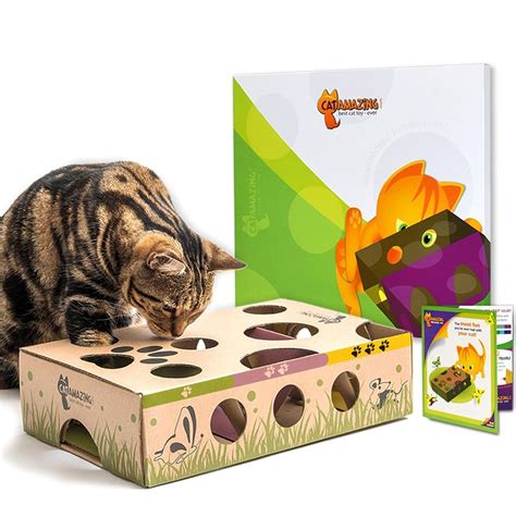 13 Best Cat Puzzle Toys