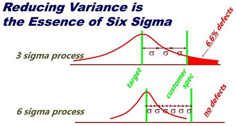 Do You Understand Process Variability Causes