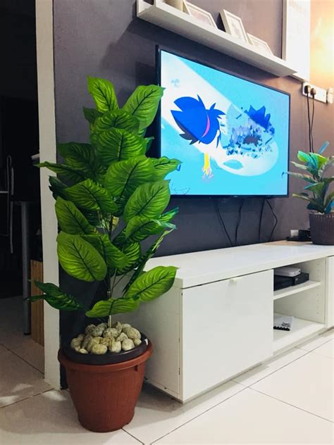 Deco Pokok Hiasan Dalam Rumah Zairetaroknapp