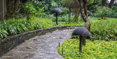 Premium Photo | Stone pathway in garden