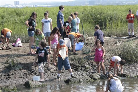 Home West Haven Center For Coastal Ecology