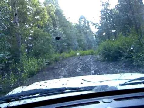 Nissan Patrol Gq Hillclimb Muddy Track Simex Extreme Trekkers Rear