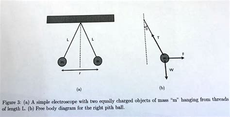 SOLVED Figure A Simple Electroscope With Two Equally Charged