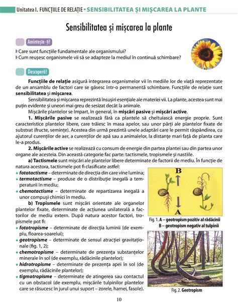 Biologie Pentru Clasa A Vii A A Pdf Pag