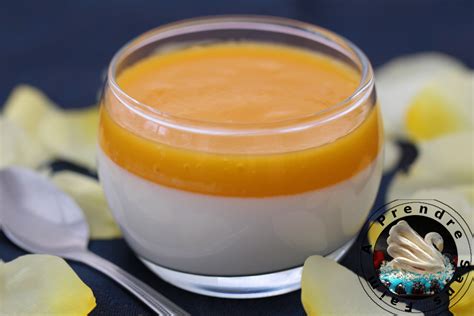 Panna Cotta Au Coulis De Mirabelles A Prendre Sans Faim