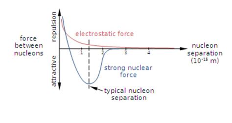 Ecu Phys Exam Review Flashcards Quizlet