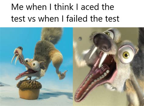 A Meme I Made : r/scrat