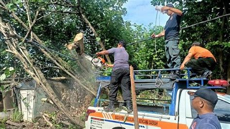 Cuaca Buruk Melanda Kota Padang Bpbd Terima Laporan Kejadian Pohon