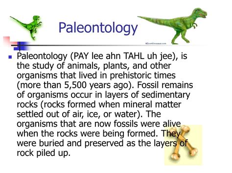 Ppt The Mesozoic Era Powerpoint Presentation Free Download Id1772719