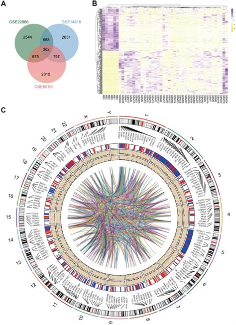 Aspm Promotes Glioblastoma Growth By Regulating G Restriction Point