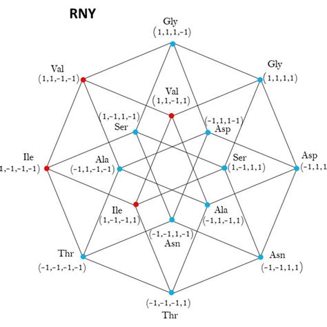 Aarss Distribution In Codes R N Y Class 1 Red 2 Amino Acids And Download Scientific