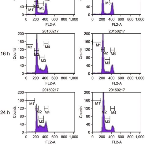 Effect Of Resveratrol On Cell Cycle Progression In Hepatitis B Virus X