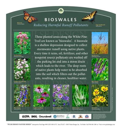 Outdoor Interpretive Sign: Bioswales, Runoff, Pollution, Native Plant Selection Guide, in ...