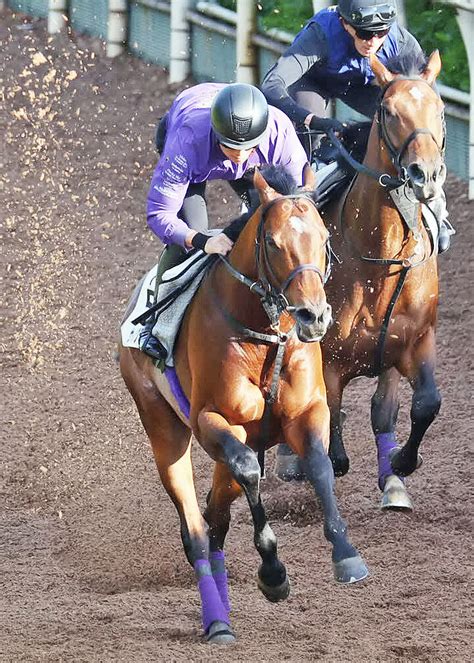 【目黒記念】枠順確定 アミールトロフィー3着から帰国初戦のサトノグランツは2枠2番 日経賞vのシュトルーヴェは6枠9番 Umatoku 馬トク