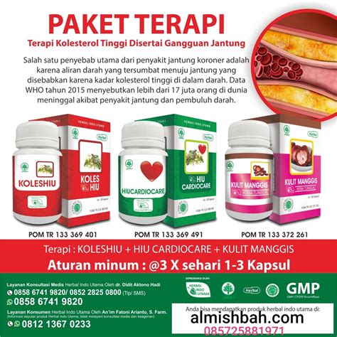 Terapi Kolesterol Homecare24