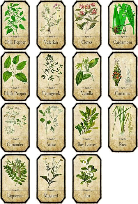 Amazon Thorpe Signs Set Of Vintage Style Apothecary Spice Herb