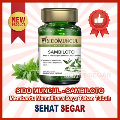 Jual Sido Muncul Sambiloto Sidomuncul Memelihara Kesehatan Daya