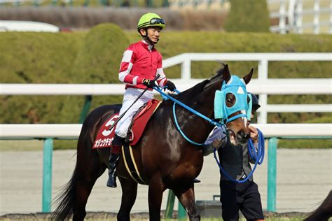 ジャンプレース応援隊 On Twitter オジュウチョウサンのキセキ 障害29戦目 2022年3月12日 阪神8r 阪神sj 1番人気