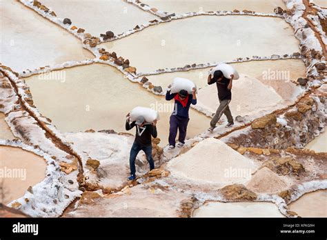 Workers Carry Salt Bags Through Salt Garden Salt Mines Of Maras