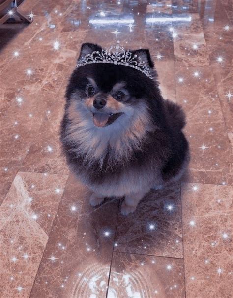 Pin by BTSArmy ⁷ on Quick Saves Yeontan pictures Yeontan cute