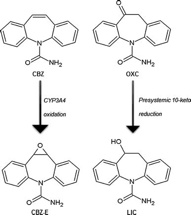 Metabolic Pathways Of Carbamazepine CBZ And Oxcarbazepine OXC To