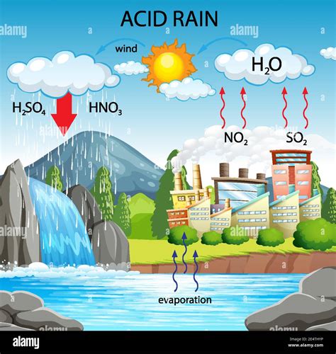 Diagrama Que Muestra La Lluvia ácida Pathway Ilustración Imagen Vector