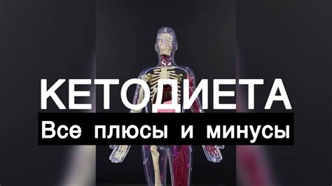 Кето диета Плюсы и минусы популярной диеты YouTube