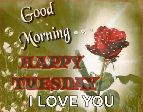 Good Morning Tuesday GIF - Good Morning Tuesday Happy Tuesday ...