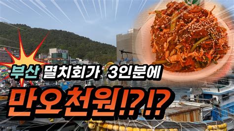 2023년 기장 대변항 멸치축제 구경가다 가성비 끝판왕 멸치회 Youtube