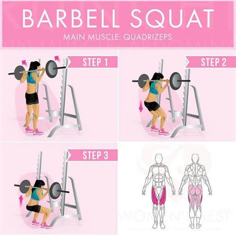 Barbell Squat Barbell Squat Workout Guide Workout