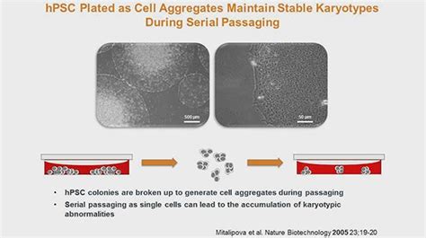 Isscr 2014 Innovation Showcase Scalable Enzyme Free Protocols For The