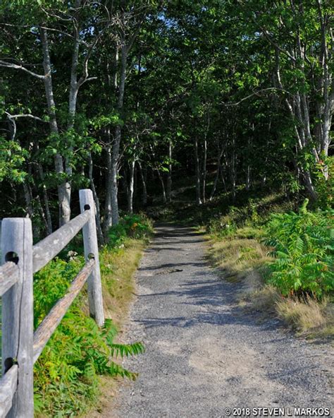 Acadia National Park | SCHOONER HEAD OVERLOOK