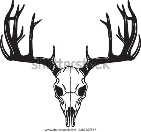 Deer Skull Vector Illustration Svg Stock Vector Royalty Free 2287667567 Shutterstock