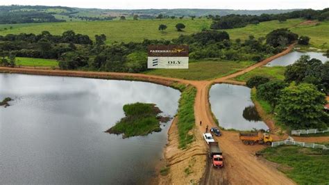 Fazenda S Tio Em Zona Rural Em Piracanjuba Por R Viva Real