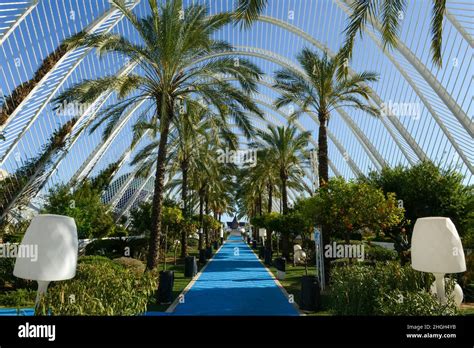 Umbracle Sur La Cit Des Arts Et Des Sciences De L Architecte Santiago