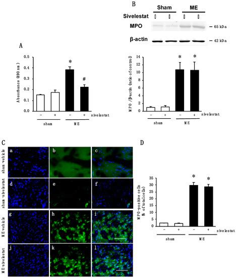 Ijms Free Full Text Involvement Of Progranulin And Granulin