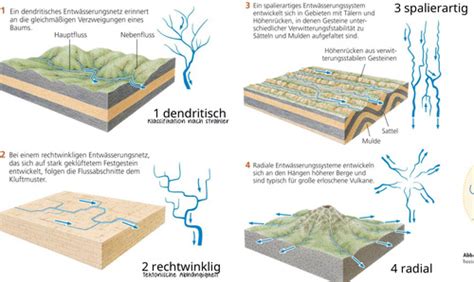 Vorlesung Fluviale Morphodynamik Karteikarten Quizlet