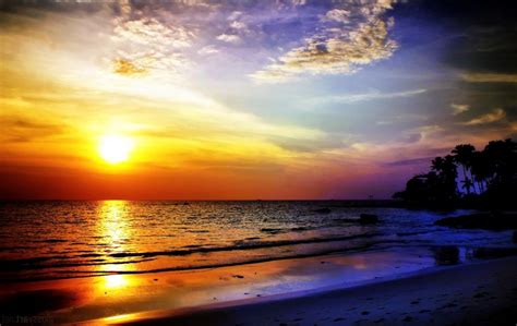 background pemandangan sunset  koleksi gambar