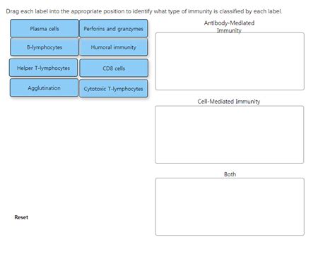 Solved Drag Each Label Into The Appropriate Position To Chegg