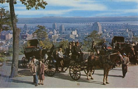 Horse Drawn Carriage Atop Mount Royal Montreal Que Qc Quebec Canada