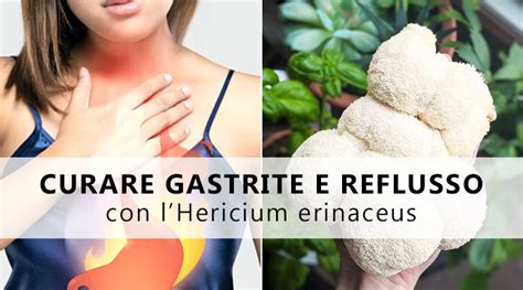 L Hericium Il Fungo Che Cura Gastrite E Reflusso Gastroesofageo Erbe