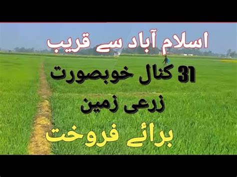 Agricultural Land For Sale Farmhouse Land Zari Zamen Raqba