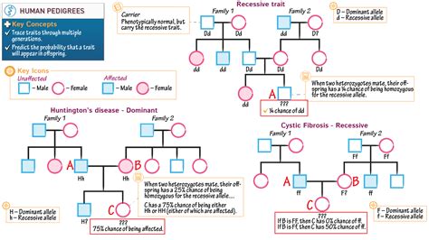 General Biology Pedigrees Ditki Medical Biological Sciences