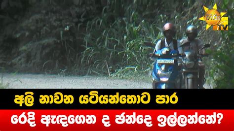 අලි නාවන යටියන්තොට පාර රෙදි ඇඳගෙන ද ඡන්දෙ ඉල්ලන්නේ Hiru News Youtube